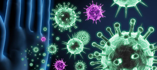 système immunitaire
